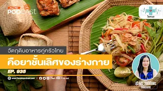 ข่ามีผลต่อสมาธิและพลังงานอย่างไร