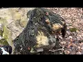 How to make a Ghillie Cobra hood