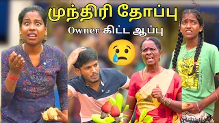 முந்திரி பழம் பறிச்சு மாட்டிக்கிட்டோம்😢🥵