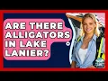 Are There Alligators In Lake Lanier - Boat Life Masters