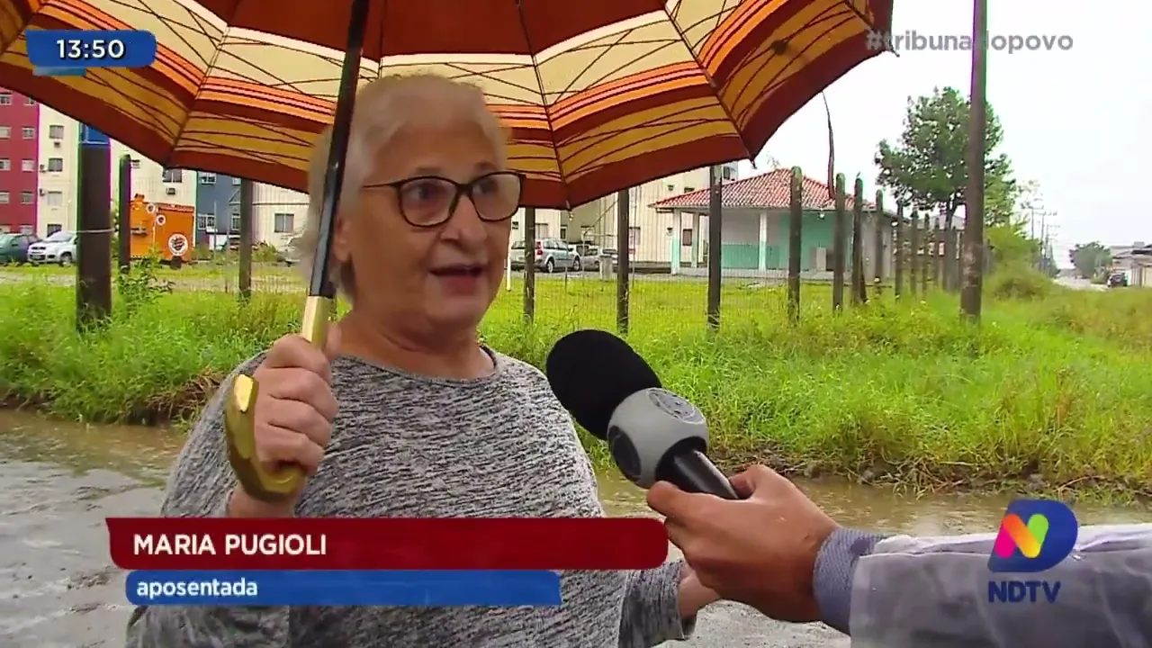Terreno abandonado vira criadouro de mosquitos da dengue e preocupa moradores do Jardim Iririú