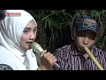 Download Lagu NON STOP SALUANG DENDANG ANGIN MALAM~MAJELANG SUBUA~JALU JALU || LUHAK NAN TUO DI BULU KASOK