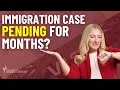 USCIS Case Pending for Months Immigration Lawyer Explains What s Going On