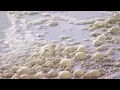 Explore More Water Quality Full Program