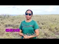 Download Lagu Lagu Timor terbaru || GRADUSAUN || cipta : Lindo Loes || vocal: Thilde Tahuk || official video music