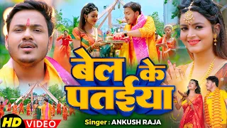  video ankush raja shilpiraj ft shilpi raghwani bolbam song 2024
