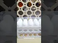https://vt.tiktok.com/ZSACbLmtR/