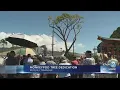 Special ceremony celebrates new monkeypod tree in Moiliili Triangle