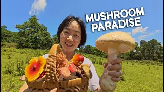 Getting Lost in China’s Mushroom Paradise
