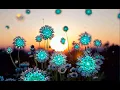 Download Lagu What a beautiful day (Lyrics included) new music by Jorge Gallardo 2025