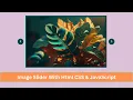 Image Slider html and css With Auto play Manual Navigation Button owl carousel