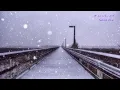 辛島美登里／サイレント・イヴ（ピアノ）: Midori Karashima - Silent Eve (Piano)