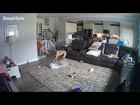 Dog bites lithium-ion battery, sparks fire inside Chapel Hill home