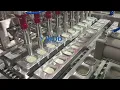 Aluminum Foil Tray Pet Food Filling and Sealing Machine Automatic Packaging Line