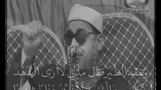 الشيخ ممدوح عامر     وتفقد الطير فقال مالي لا ارى الهدهد ام كان من الغائبين دندنها