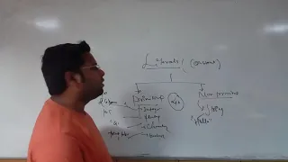 Java Fundamentals In Hindi Literals in Java With Its Type