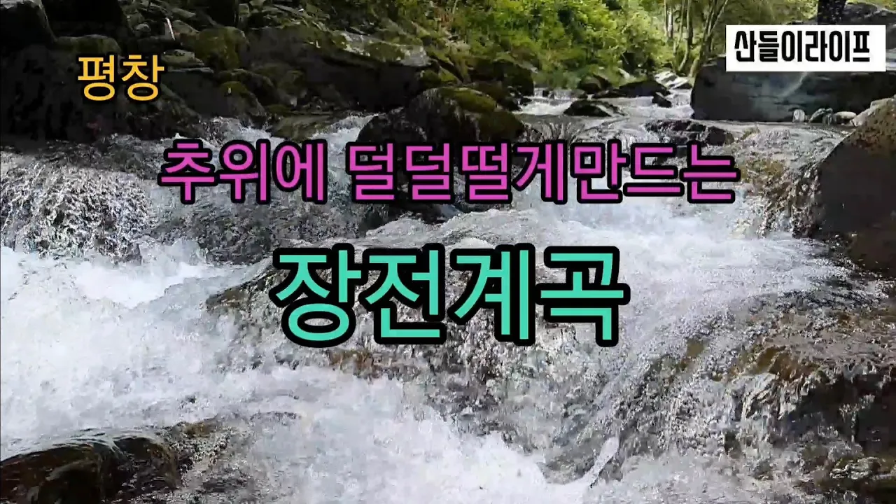 [평창장전계곡]얼음장처럼 차가운 장전계곡 차박지, 물놀이 #자작캠핑카 #캠핑카여행 #노지차박 #노지캠핑 #강원도계곡 #평창계곡 #장전계곡 サムネイル