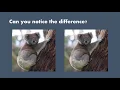 GEMATMW The Application of Image Steganography to Data Security