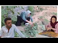 Download Lagu Poisoning cucumber bushes with love, Hussein and Ziba