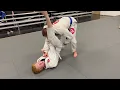 Pull guard to a triangle BJJ submissions