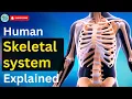 Download Lagu Human Skeleton  system | skeletal system anatomy and physiology || Biology | BioScholar