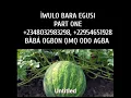 Download Lagu ASIRI ÌWULO BARA EGUSI FÚN ITOJU ÌWÒSÀN ARA, +2348032983298, +22954651928, +2250506134943