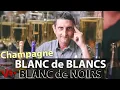 Download Lagu Blanc de Blancs Vs. Blanc de Noirs Champagne. Where’s the Difference ?