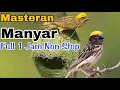 Download Lagu Masteran Manyar [Full 1 Jam Non Stop]‼️@rmbfchannel