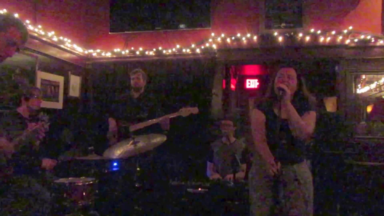 Sarah & the Wild Versatile @ The Plough & Stars