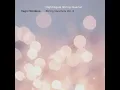 String Quartet No. 21, Op. Posth. 197 "Sereno" (Completed by P. Nørgård): II. Allegro - Nightingale String Quartet