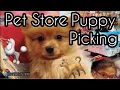 Purchasing a NEW DOG - Buying a Puppy at Fashionable Pets NJ Pet Store