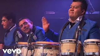 Download Los Ángeles Azules - Cumbia Coqueta (Live) MP3