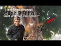 Download Lagu Ngeri.! ditemukan benda aneh diduga getah katilayu ditanah keramat pegunungan jawa tengah