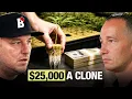 I ll Pay Somebody Inside Your Grow to Steal From You Copycat Genetics