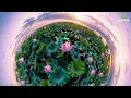 POWERFUL MORNING MUSIC - Wake Up with Happiness & Harmony - Morning Meditation Music For Relaxation