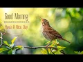 Download Lagu POWERFUL MORNING MUSIC - Wake Up with Happiness \u0026 Harmony - Morning Meditation Music For Relaxation