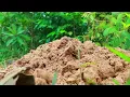 Building Creative Hole Rabbit Trap