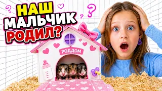 Наш «мальчик» родил? Марья и Марго в ШОКЕ!