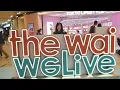 Download Lagu PLAZA BARU DI TAI WAI || the wai we live