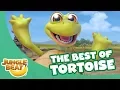 Download Lagu The Best of Tortoise - Jungle Beat Compilation [Full Episodes]