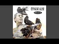 Download Lagu Naveed
