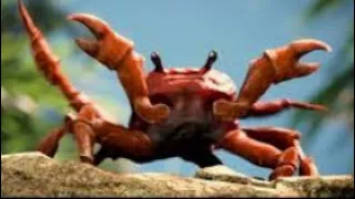 Download Crab Rave But Every 5 Seconds It Stops | Official Music Video MP3