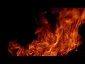 Fire GIF