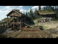 The Witcher 3: Wild Hunt OST - The Fields of Ard Skellig (UHD 60 FPS)