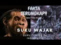 Lagu FAKTA TERUNGKAP!! SUKU YANG HILANG DI INDONESIA