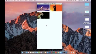 GridView of Images FlatList React Native