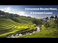 Download Lagu Vietnamese Bolero Music, Vietnam's Classic, Vietnam's Famous Scenery, Floating Markets, Rice Fields🌾