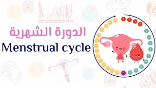 Menstrual Cycle Biology 3 Sec New System  Menstrual Cycle Biology 3 Sec New System