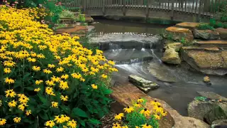 Nooshafarin Mehmooni نوش آفرين مهموني 