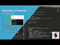 Adobe Extension QuickTip - Developing a Fast Workflow Coding Debugging and Exporting